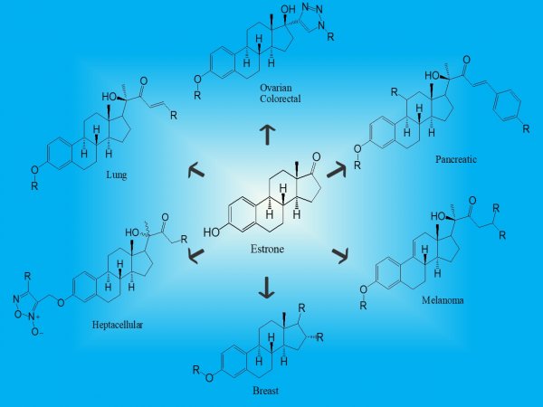 Estrone derivitization to analogs targeting various cancers