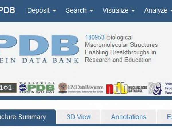 Image of protein data bank