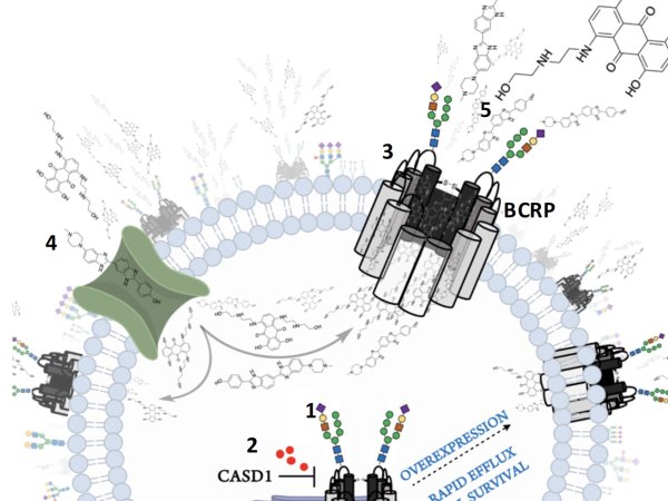 RAWC Lab Image