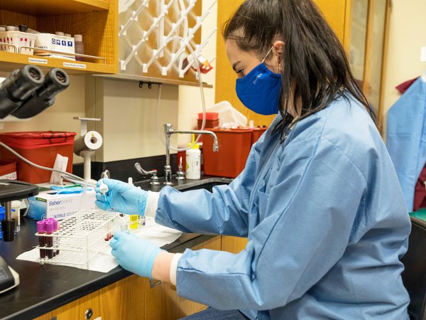 An SDSU student does phlebotomy work in a lab on campus.