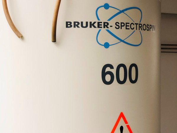 Bruker-Avance 600 Image