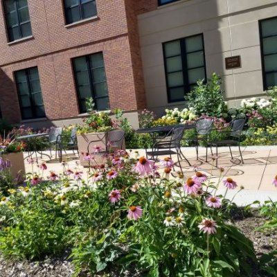 Courtyard with purple flowers