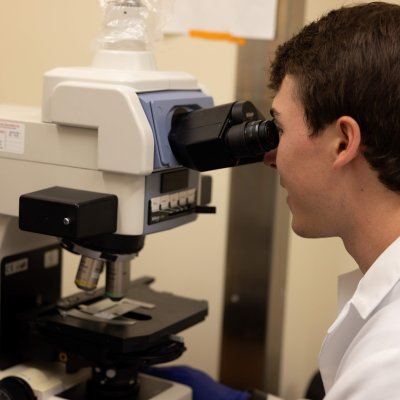 Lab member using microscope