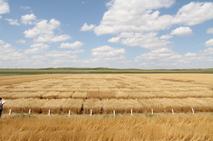 Dakota Lakes Research Farm