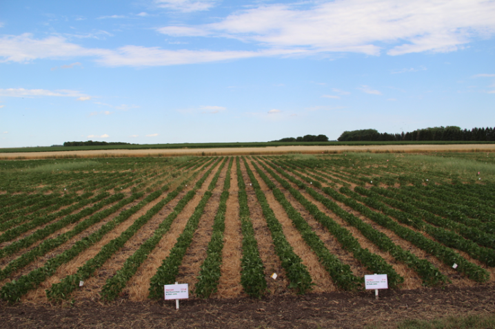 Northeast Research Farm