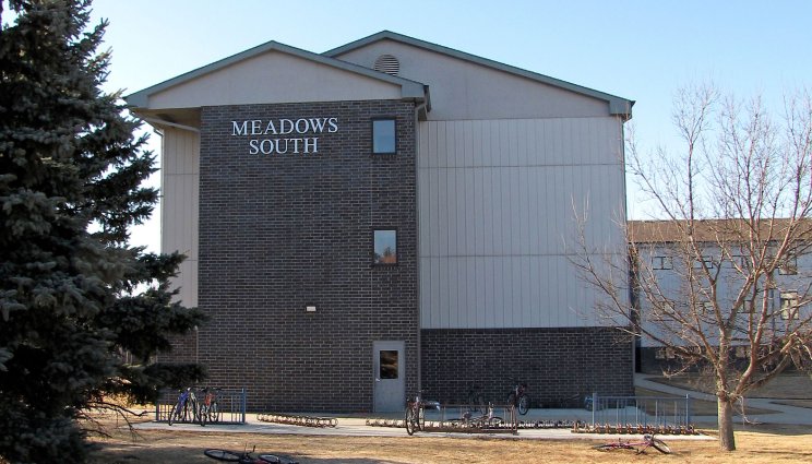 Meadows South Apartments