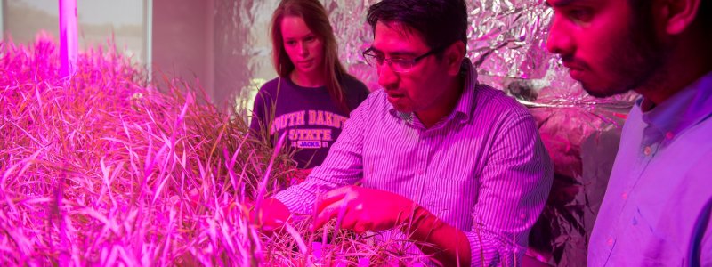 Plant Science PhD students in Lab