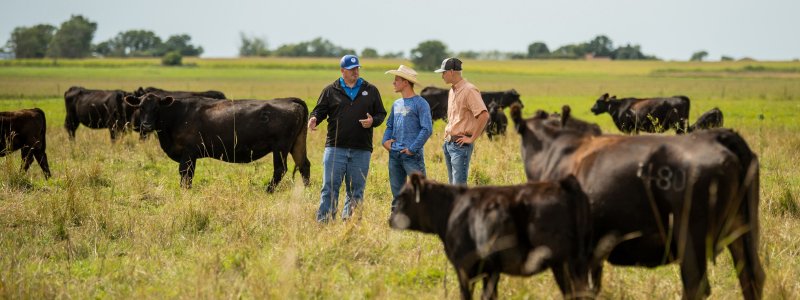 Students learning on Ranch