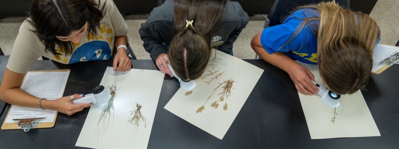Three students looking at plants in a lab.
