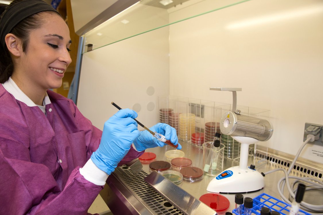 Medical Laboratory Scientist working with plates 