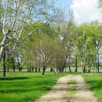 South Dakota State Arboretum Path