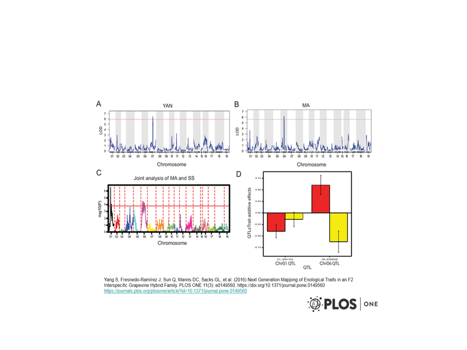 Grapevine genotype by sequencing mapping of F2 population