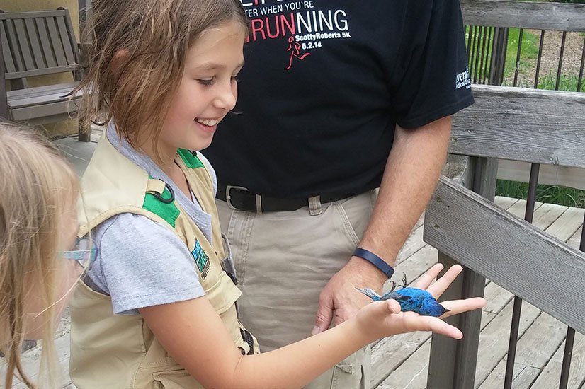 girl holds a bluebird