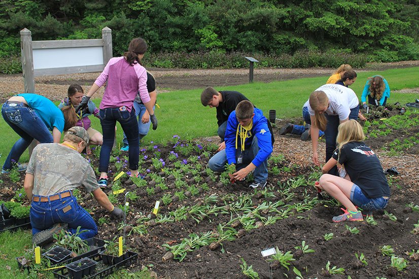 students planting flowers