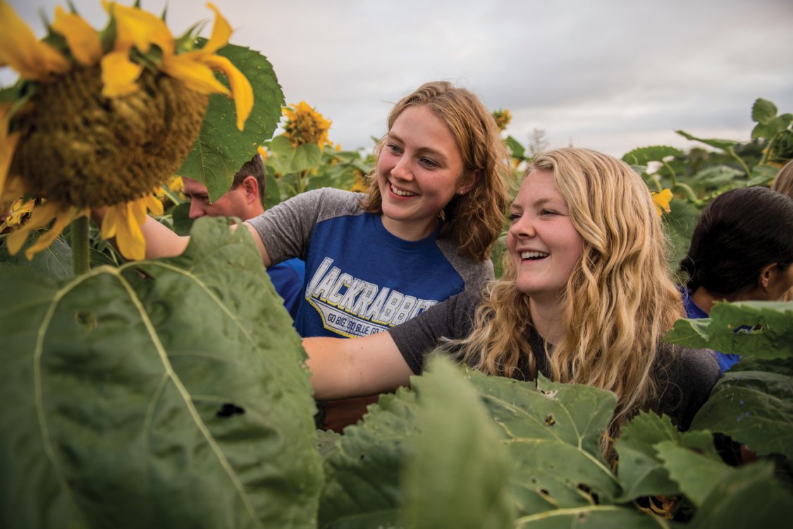 Two students looking at a sunflower