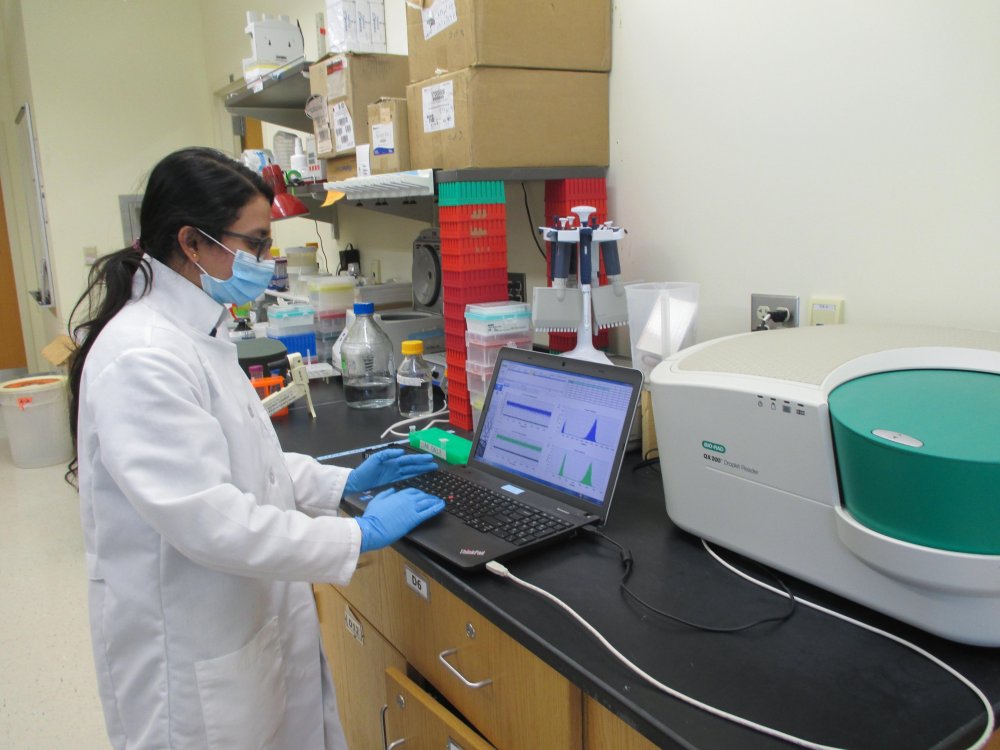 student at a lab working on laptop