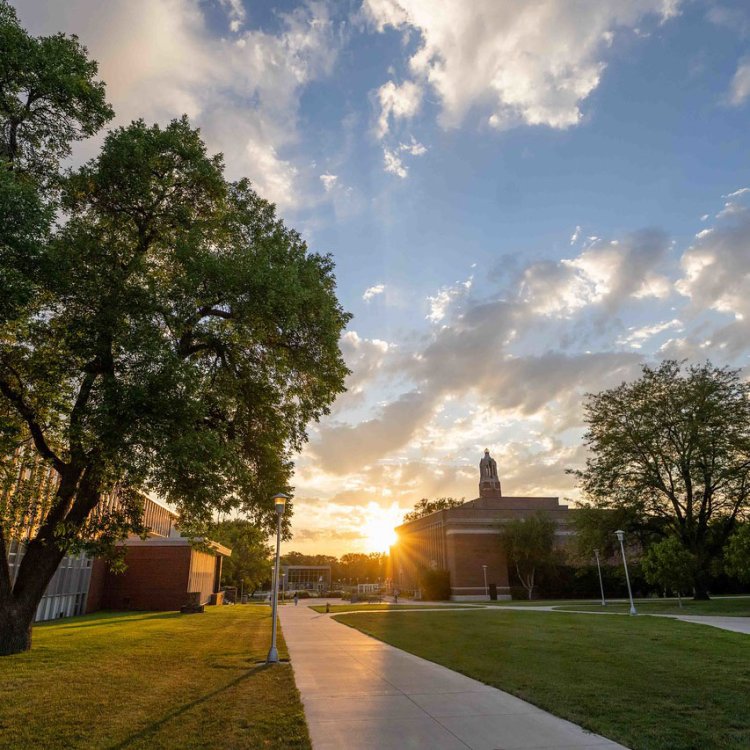 sunset on campus