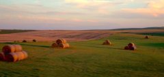 A hayfield in the West River region of South Dakota