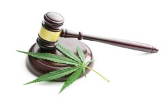 public domain image of a marijuana leaf under a judge's gavel 