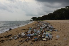 Plastic pollution