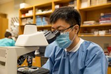 Student using microscope