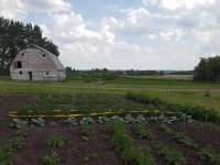 Garden in the country