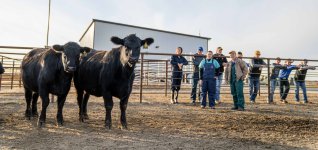 students at the Cow/Calf Unit