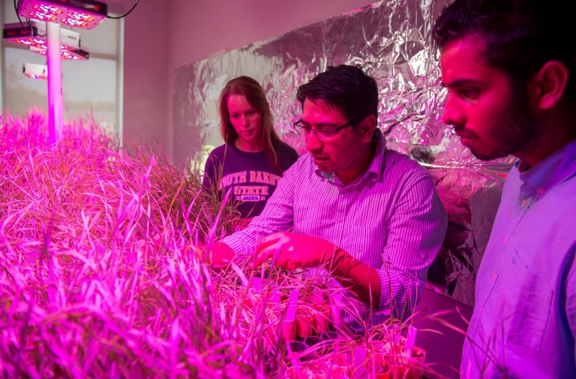 Plant Science PhD students in Lab