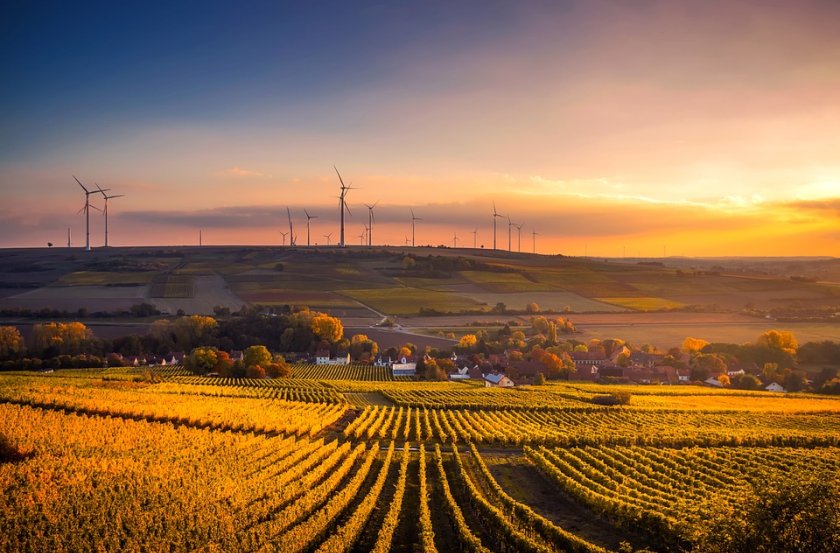 Rural field with a sunset