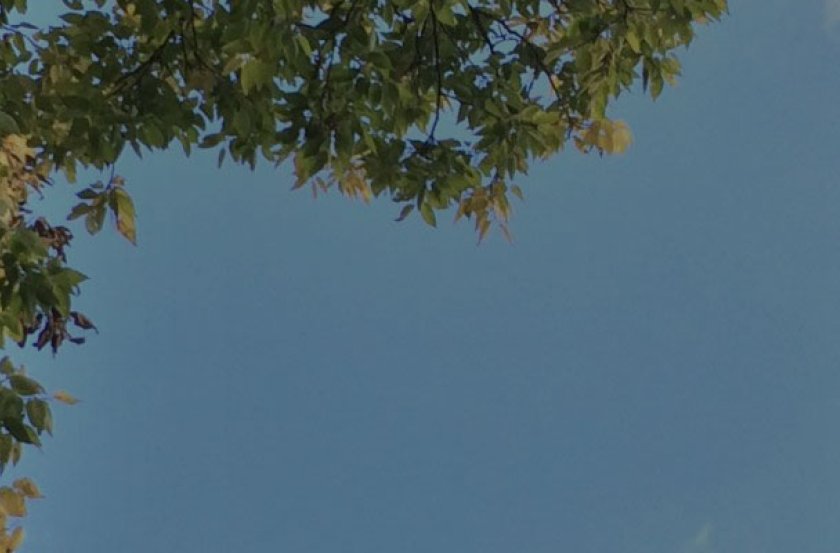 Campanile from below