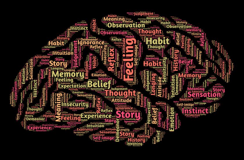 Words in the shape of a brain associated to pscyhology - feeling, thought, story, experience, meaning, memory, longing, observation, belief, history, demeanor, sensation, ignorance, intuition, instinct, self-image, reflex.