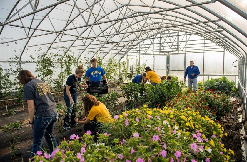 Students and instructor working in a greenhouse.