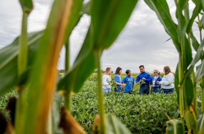 students in a soybean field 