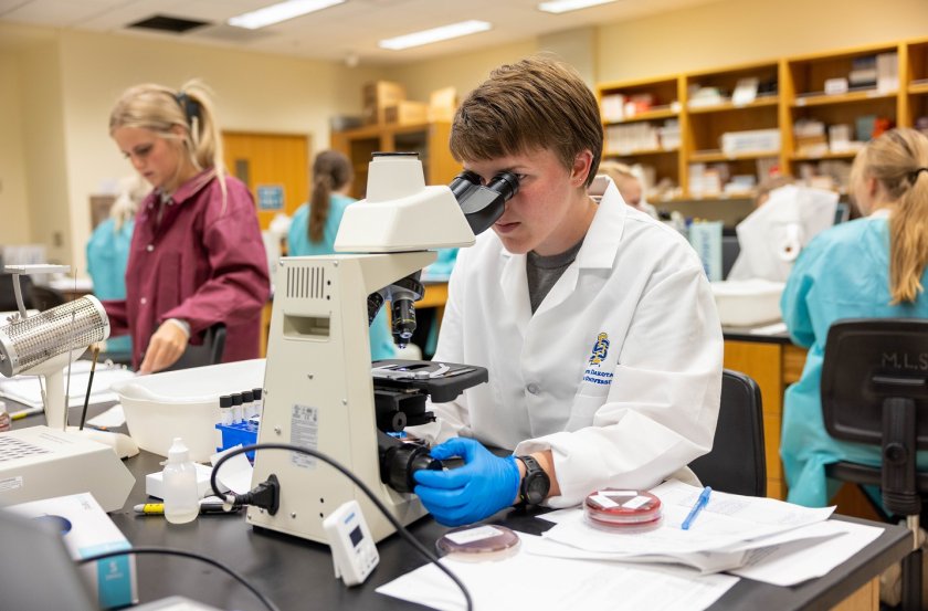 MLS students working in a lab.