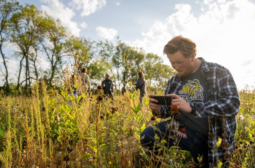 Student kneeling in grass taking a photo of plants with his phone.