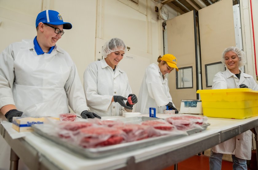 Students working in a meat lab.