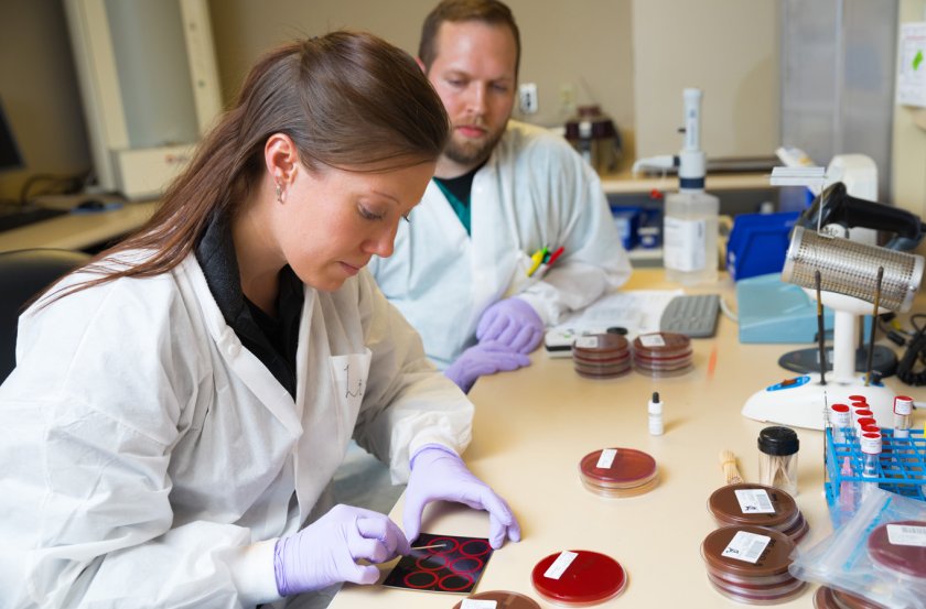 Students examining petri dish